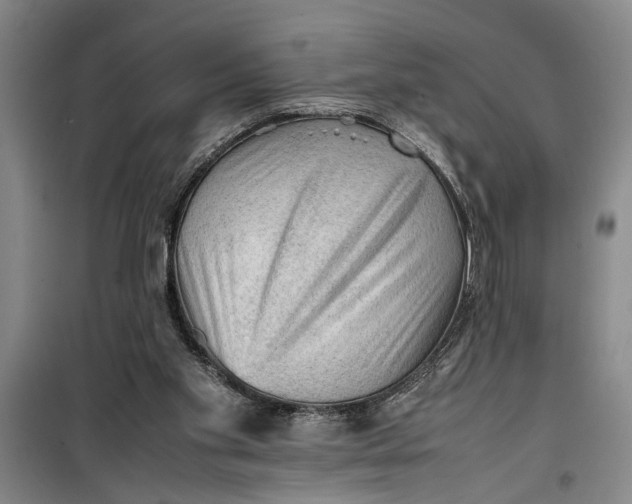 X0000099410109200805301354