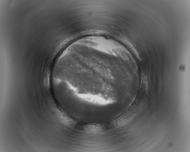 X0000099410110200805301354