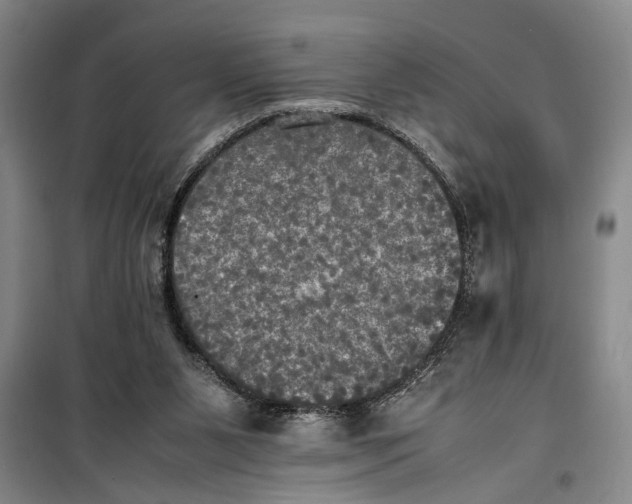 X0000099410111200805301354