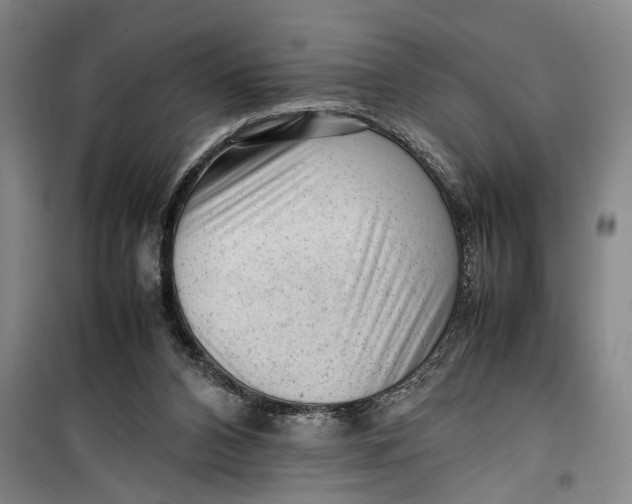 X0000099410112200805301354