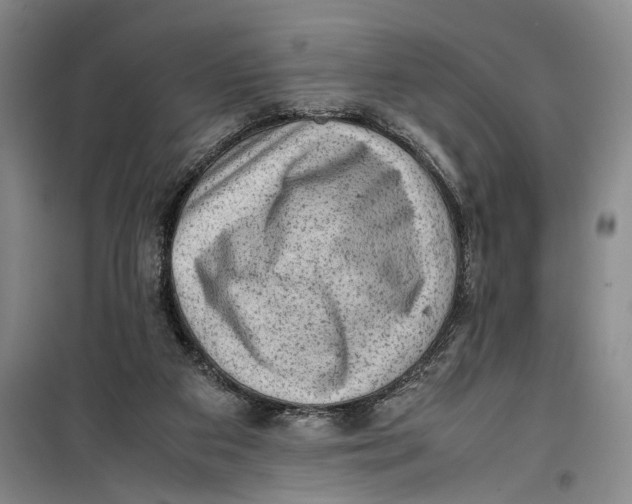 X0000099410113200805301354