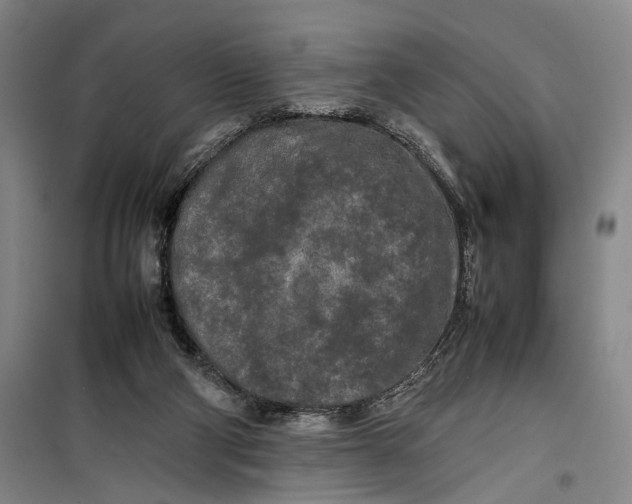 X0000099410114200805301354