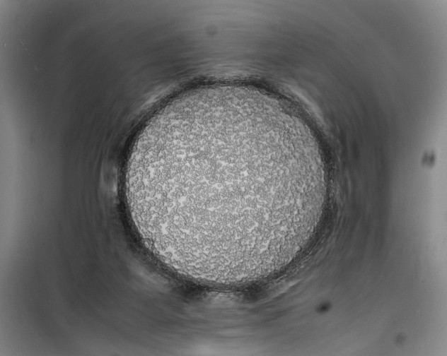 X0000099410115200805301354