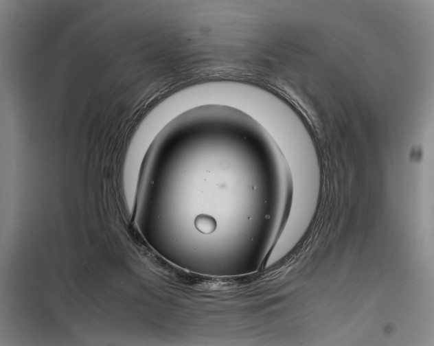 X0000099410117200805301354