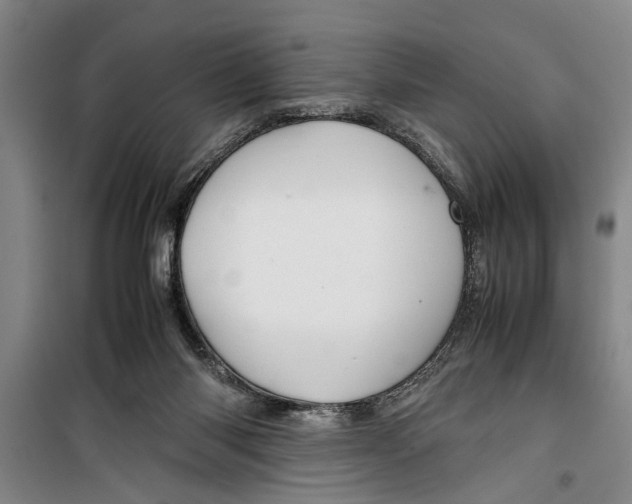 X0000099410118200805301354