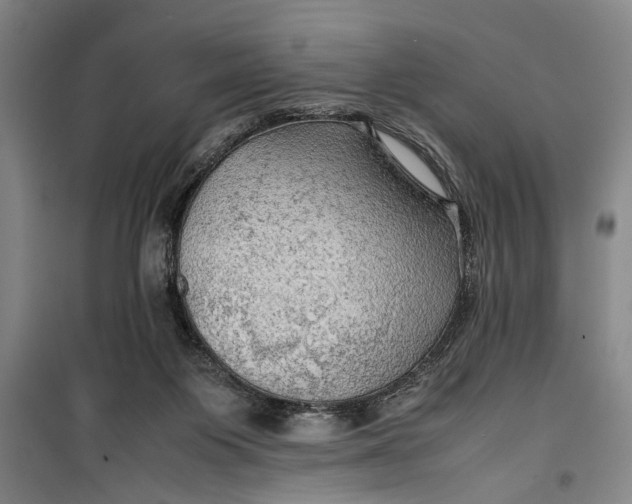 X0000099410119200805301354