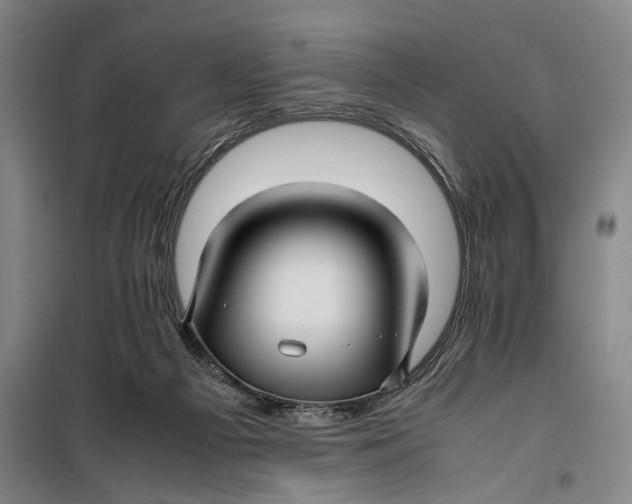 X0000099410121200805301354