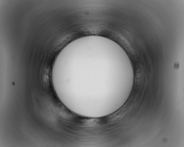 X0000099410122200805301354