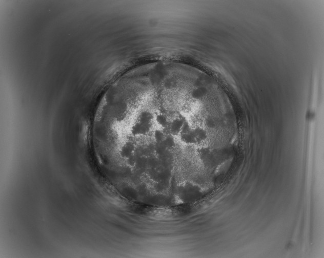 X0000099410123200805301354