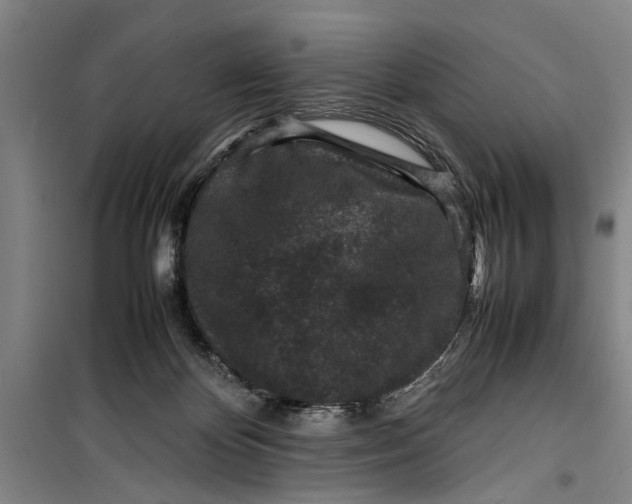 X0000099410124200805301354