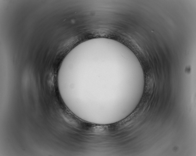 X0000099410126200805301354