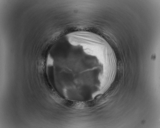 X0000099410127200805301354