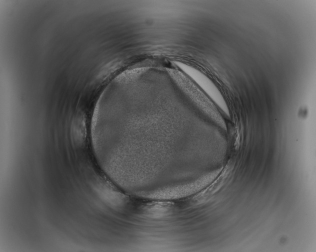 X0000099410128200805301354