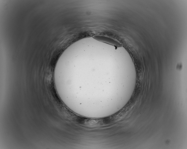 X0000099410129200805301354