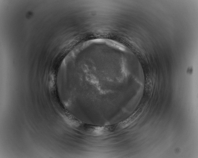 X0000099410130200805301354