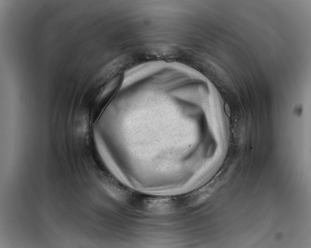 X0000099410132200805301354