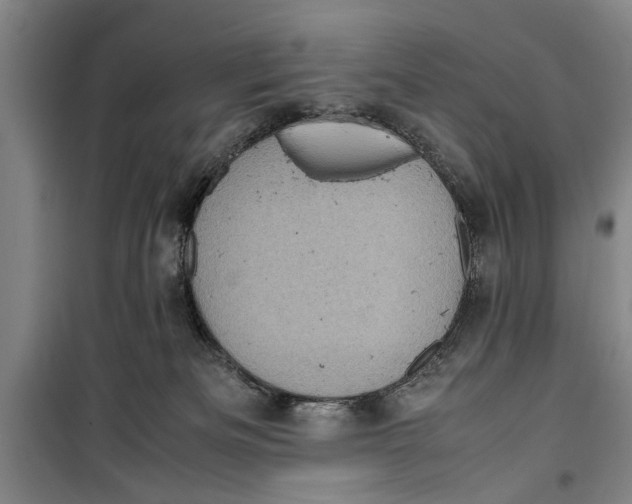 X0000099410133200805301354