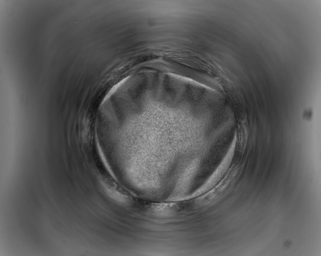 X0000099410136200805301354