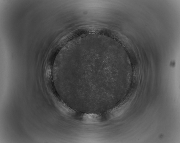 X0000099410137200805301354