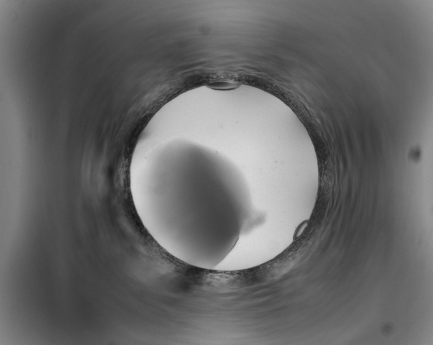 X0000099410139200805301354