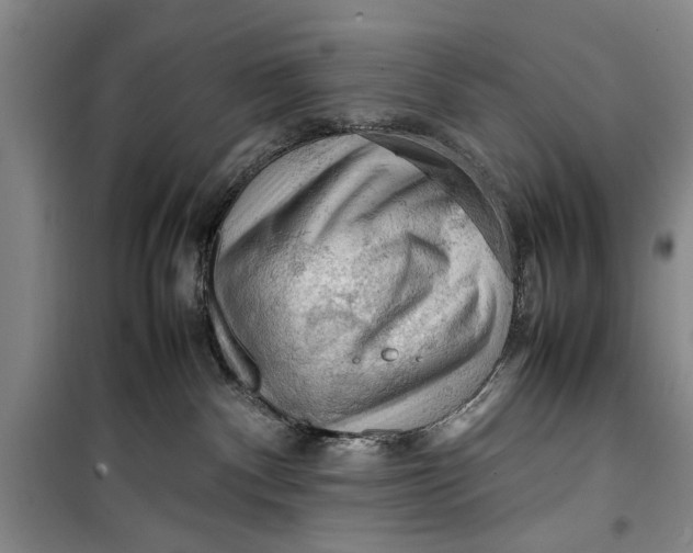 X0000099410140200805301354