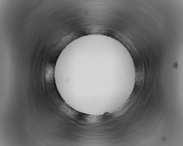 X0000099410142200805301353