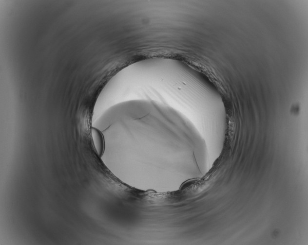 X0000099410143200805301353