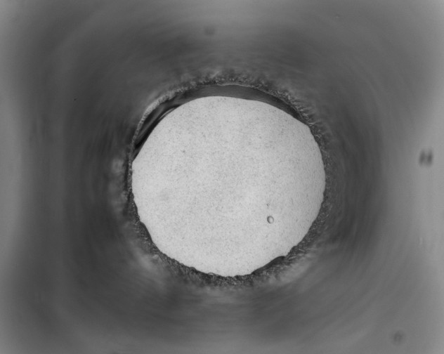 X0000099410144200805301353