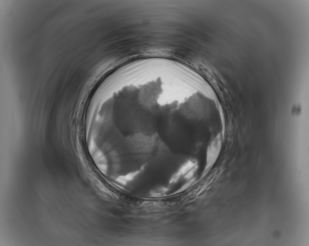 X0000099410145200805301353