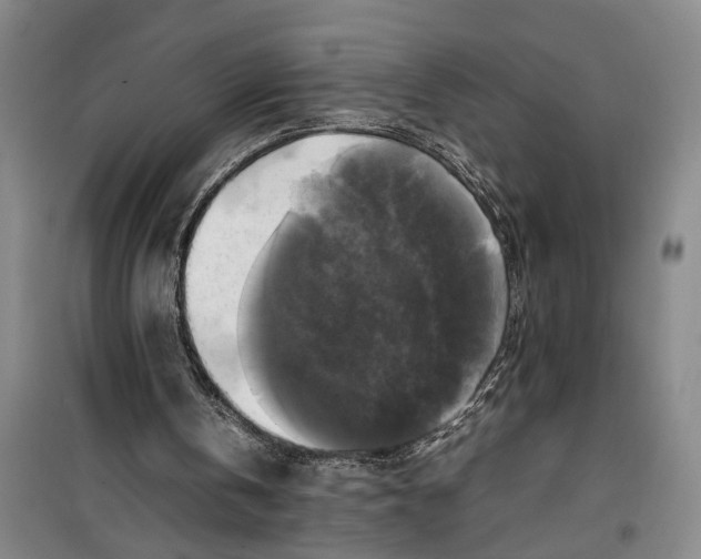 X0000099410146200805301353