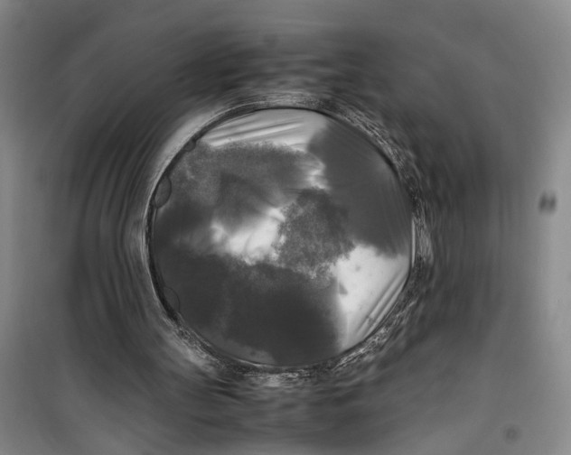 X0000099410147200805301353