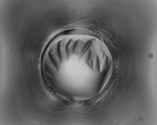 X0000099410148200805301353