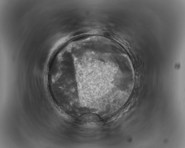 X0000099410149200805301353