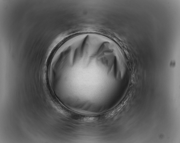 X0000099410152200805301353