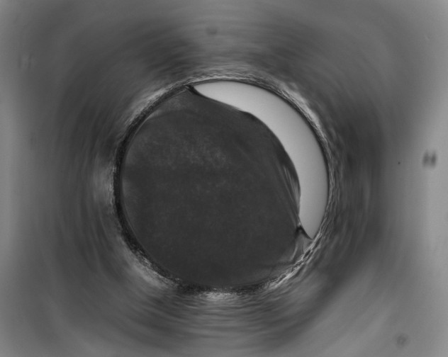 X0000099410154200805301353