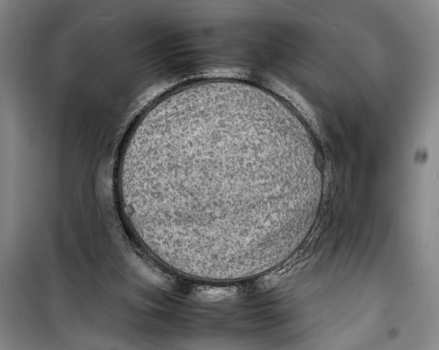 X0000099410155200805301353