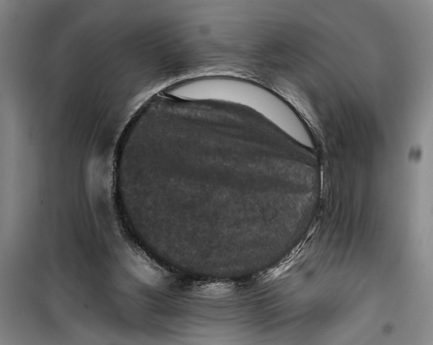 X0000099410156200805301353