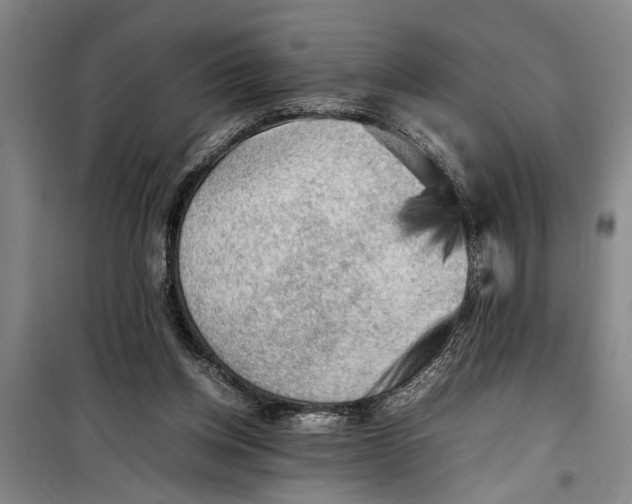 X0000099410158200805301353