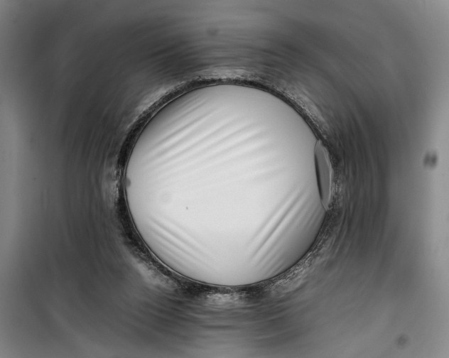 X0000099410160200805301353