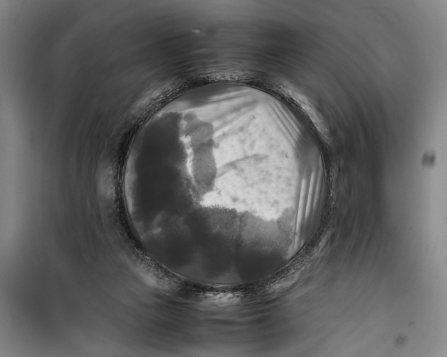 X0000099410161200805301353