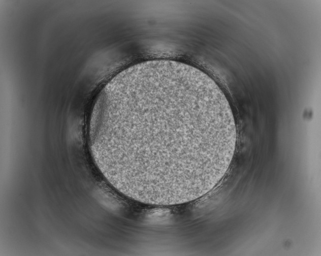 X0000099410162200805301353