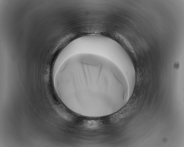 X0000099410163200805301353