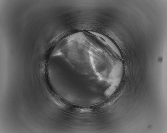 X0000099410165200805301353