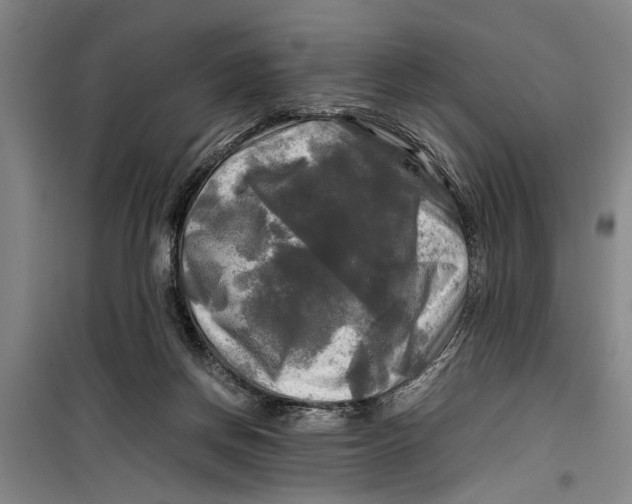 X0000099410166200805301353