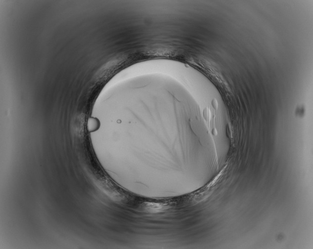 X0000099410167200805301353