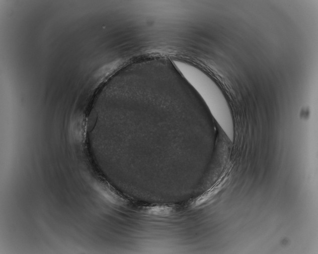 X0000099410168200805301353