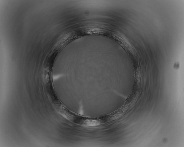 X0000099410169200805301353