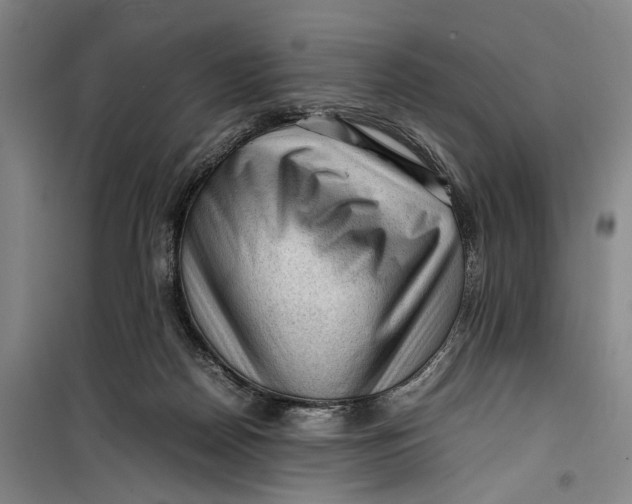 X0000099410170200805301353