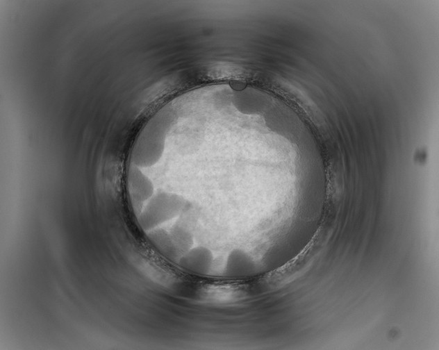 X0000099410171200805301353