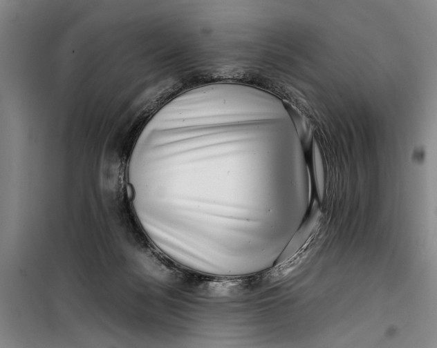 X0000099410172200805301353